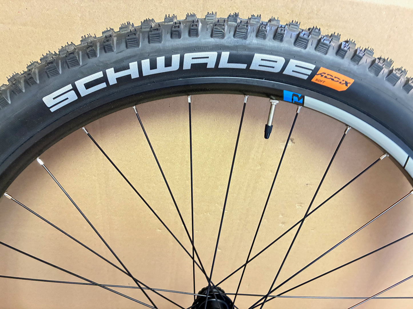 Radsatz 29 Zoll Raymon Ebike Shimano Freilauf; RS2 int.